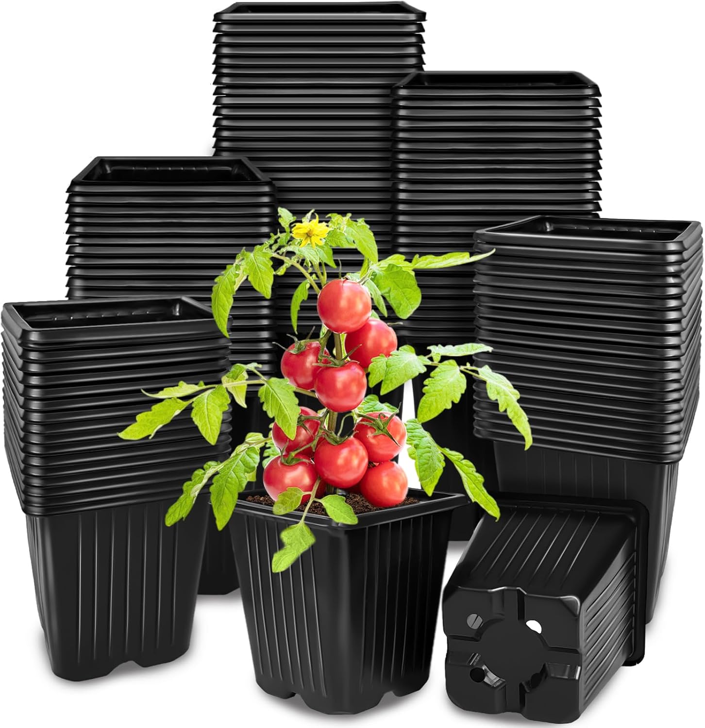 Anyumocz 100Pcs Square Plant Nursery Pots,3.5 Inch Plastic Pots with Drainage Holes,Reusable Seed Starter Pots for Flowers,Vegetables,Garden Planting,Transplanting,Succulents,Cuttings(Black) MissFlowery