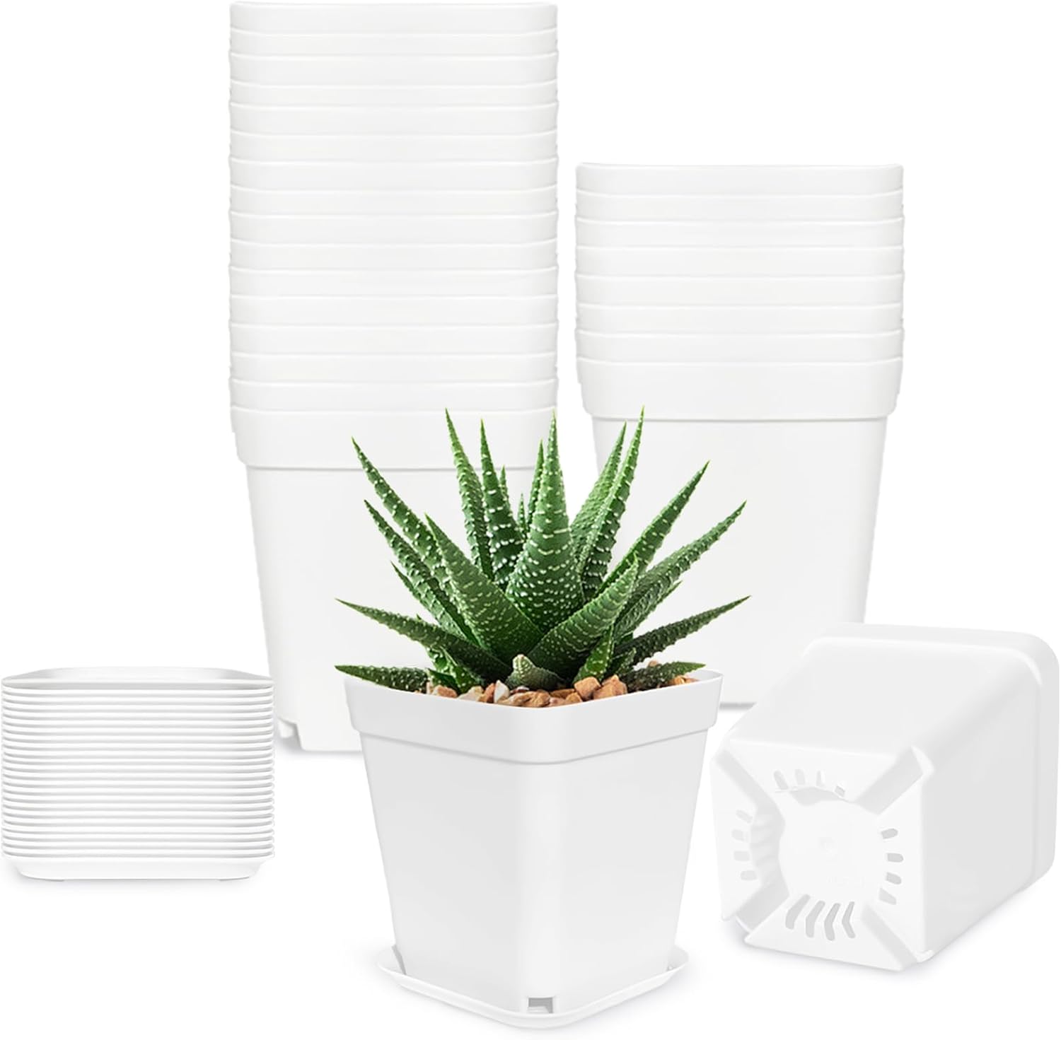 Miss Flowery 24Pcs 3" Square Plastic Plant Pots,White Nursery Pots with Saucers,Seedling Nursery Transplanting Planter Container for Plants,Garden,Flower,Home,Office,Balcony Decor,Indoor,Outdoor MissFlowery