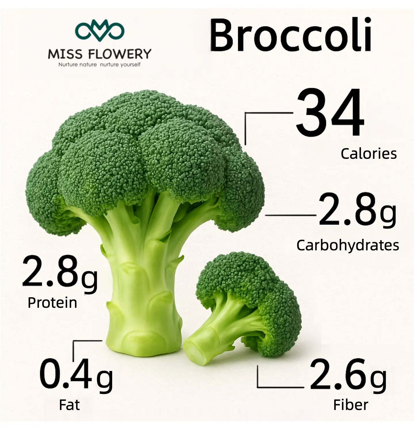 Miss Flowery No GMO Organic Broccoli Seed Variety 2 Grams for Spring Winter & Fall Gardening Non-GMO Broccoli Seeds for Natural Planting MissFlowery