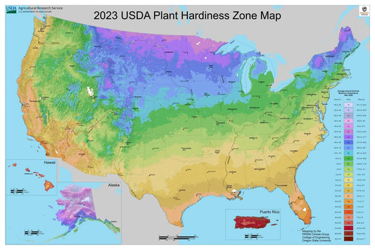 2023 USDA Plant Hardiness Zone Map of US, color-coded for gardening and planting zones