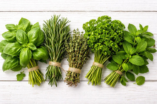 Fresh basil, rosemary, thyme, parsley, and mint herb bundles on white wooden table, Miss Flowery gardening