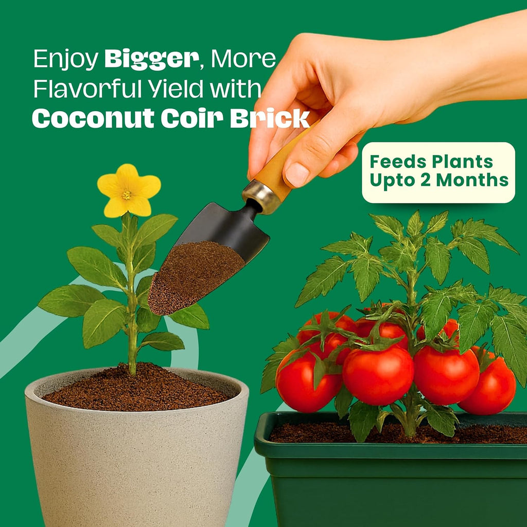 Coco Coir Brick 10 lbs – Expands to 80 Quarts – NPK Enriched Organic Coconut Coir – Potting Soil for Indoor Outdoor Plants, Seed Starter, Vegetables, Mushrooms, Gardening Use 10LB MissFlowery