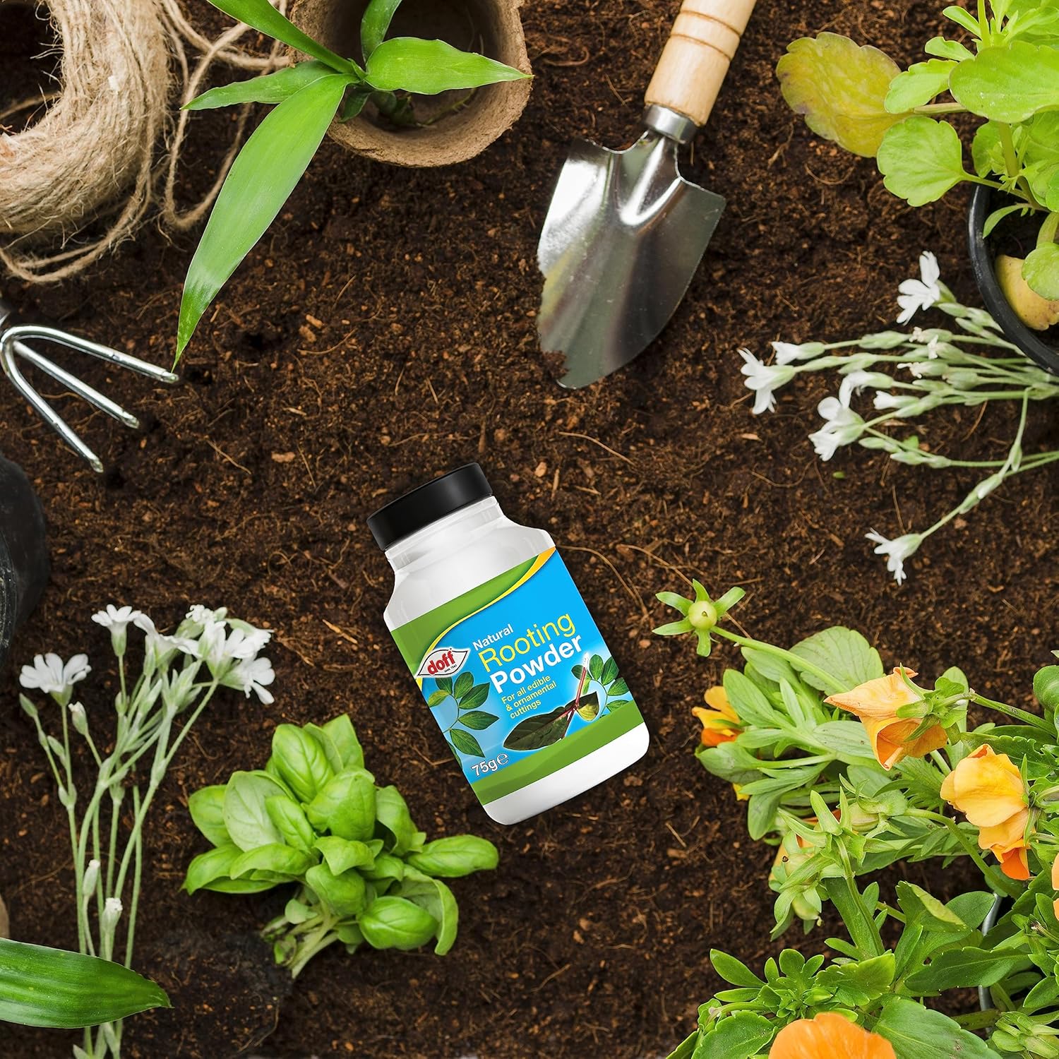 Hormone Rooting Powder Plant and Cuttings 75g Dibber Pack Rootings Power MissFlowery