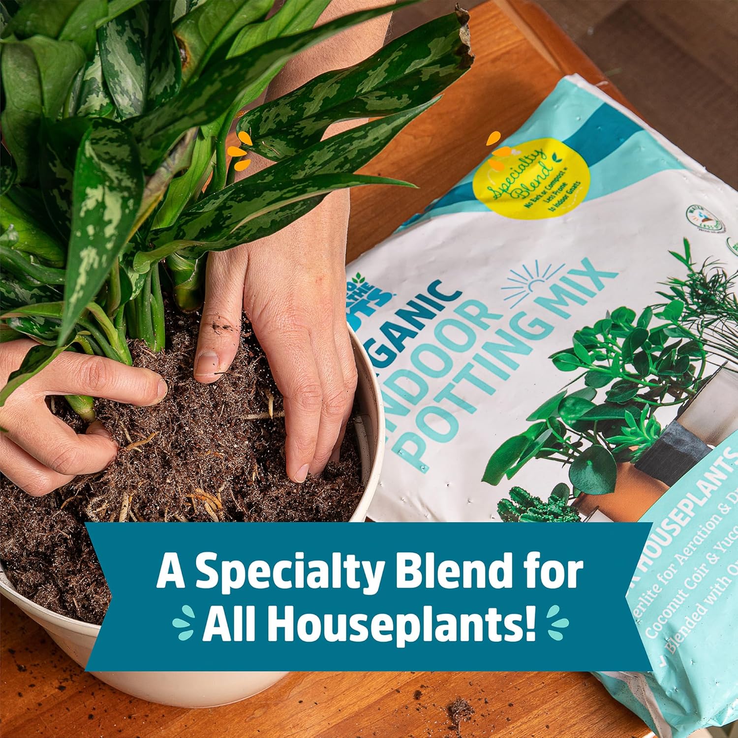 100% Organic Indoor Potting Mix (6 Quart), Promotes Healthy Houseplant Growth, Made in The USA MissFlowery