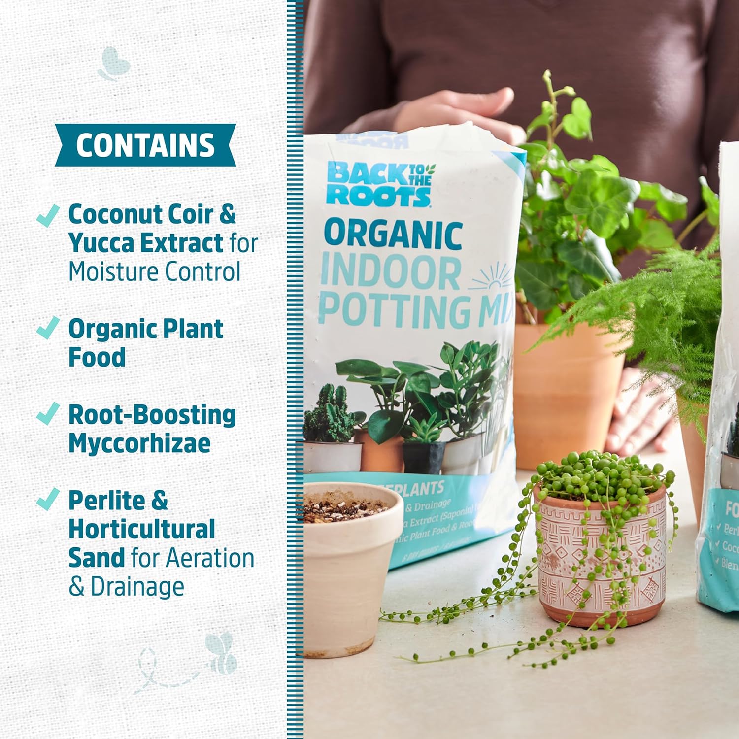 100% Organic Indoor Potting Mix (6 Quart), Promotes Healthy Houseplant Growth, Made in The USA MissFlowery