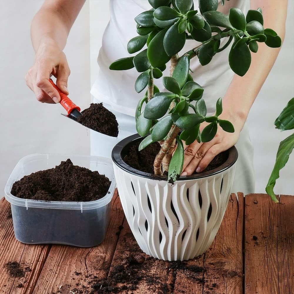 100% Organic Indoor Potting Mix (6 Quart), Promotes Healthy Houseplant Growth, Made in The USA MissFlowery