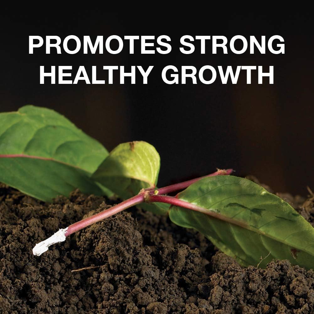 Hormone Rooting Powder Plant and Cuttings 75g Dibber Pack Rootings Power MissFlowery
