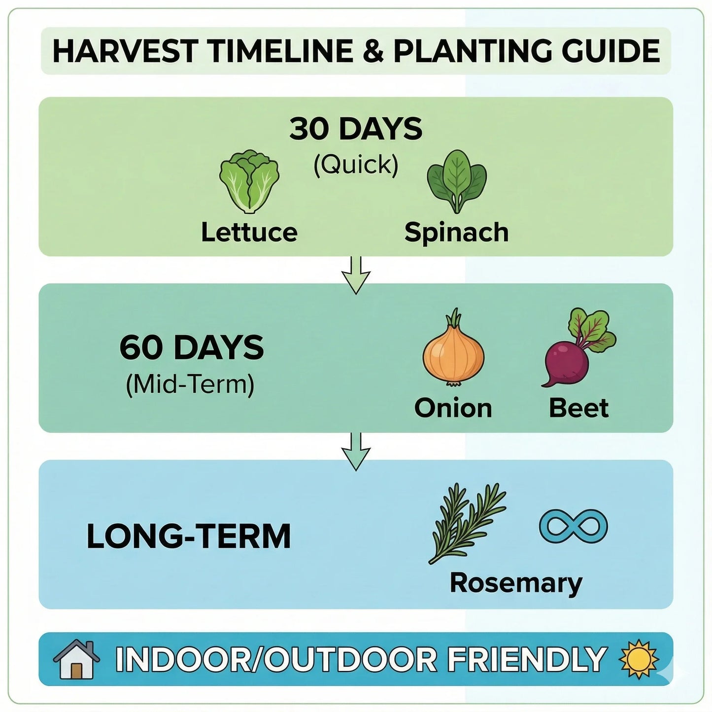 Miss Flowery harvest timeline and planting guide for lettuce, spinach, onion, beet, and rosemary.