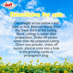 Hormone Rooting Powder Plant and Cuttings 75g Dibber Pack Rootings Power MissFlowery