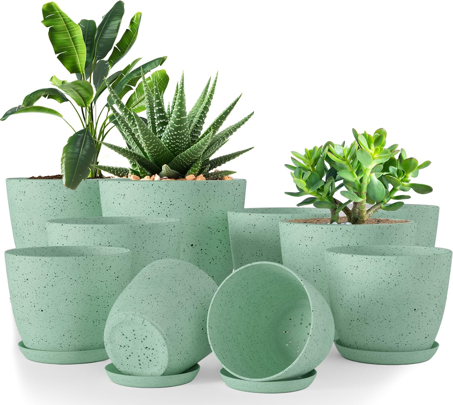 Miss Flowery- Plant Pots Indoor with Drainage - 7/6.6/6/5.3/4.8 Inches Garden Flower Pots for Indoor Planter - 5 Pack White Plastic Planters - Ideal for Stocking Stuffers or Room, Office Home Decor MissFlowery