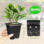 Anyumocz 100Pcs Square Plant Nursery Pots,3.5 Inch Plastic Pots with Drainage Holes,Reusable Seed Starter Pots for Flowers,Vegetables,Garden Planting,Transplanting,Succulents,Cuttings(Black) MissFlowery