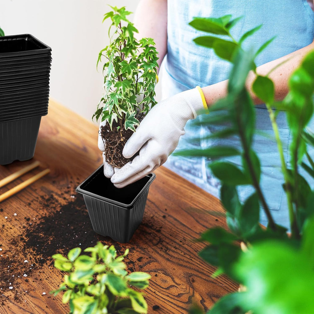 Anyumocz 100Pcs Square Plant Nursery Pots,3.5 Inch Plastic Pots with Drainage Holes,Reusable Seed Starter Pots for Flowers,Vegetables,Garden Planting,Transplanting,Succulents,Cuttings(Black) MissFlowery