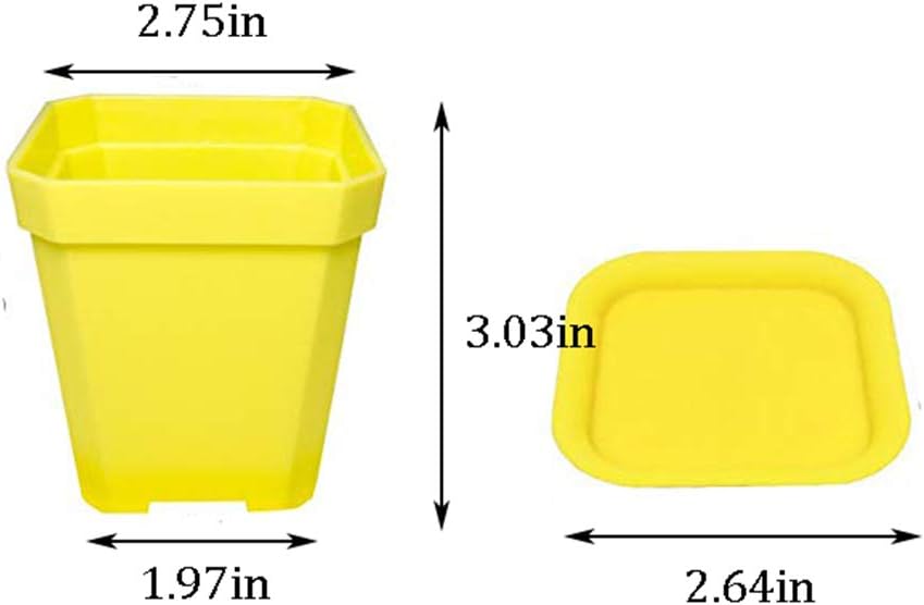 24 Pack 3inch Multi Color Square Plastic Plant Pots,Seedling Nursery Transplanting Planter Container Indoor Outdoor for Your Room,Garden Office and Balcony Decor MissFlowery