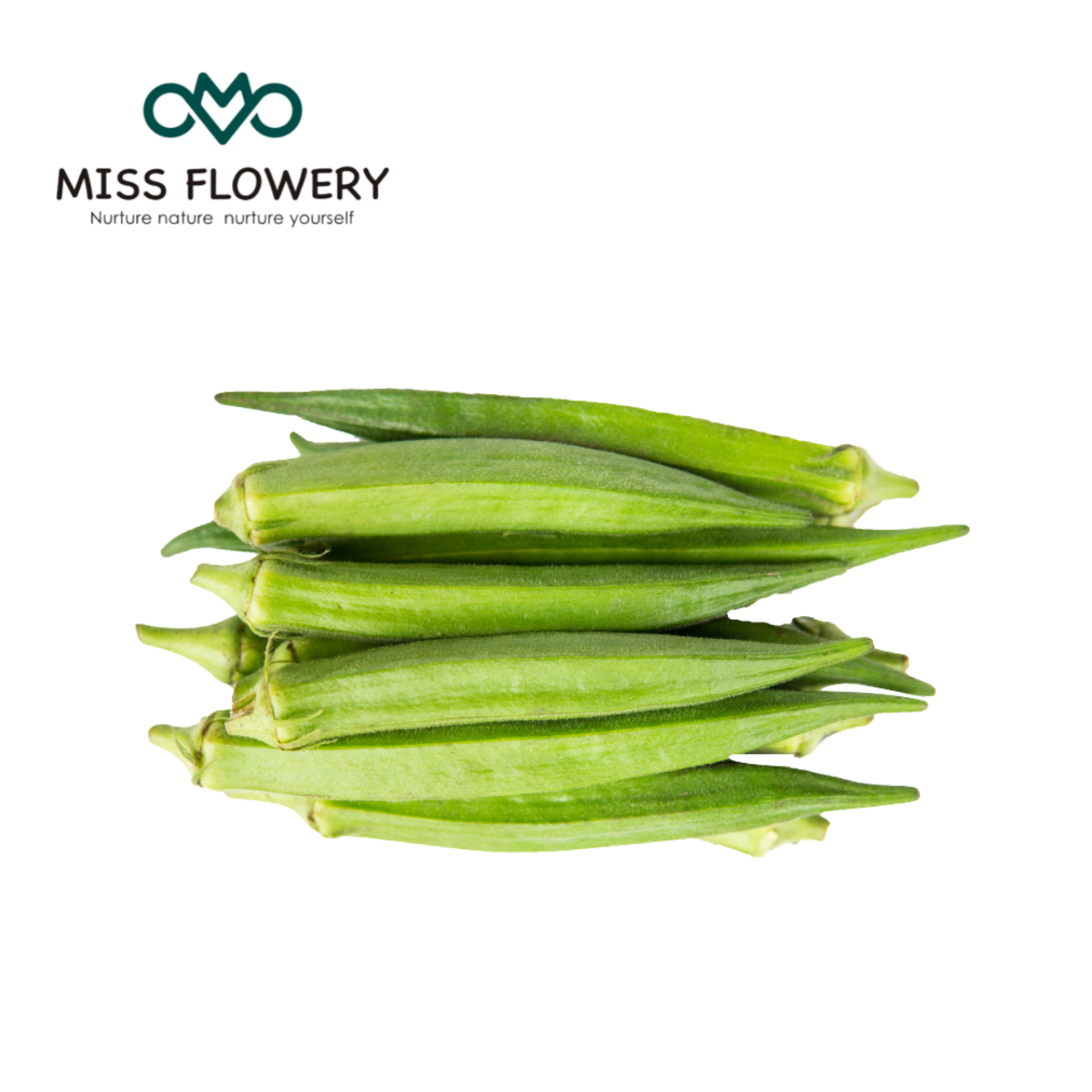 𝗨𝗦𝗔 𝗣𝗥𝗘𝗠𝗜𝗨𝗠 Okra Seeds 𝗡𝗢𝗡-𝗚𝗠𝗢 Heirloom Vegetable Seeds for Planting Easy to Grow Outdoor Summer Garden High Germination Rate MissFlowery