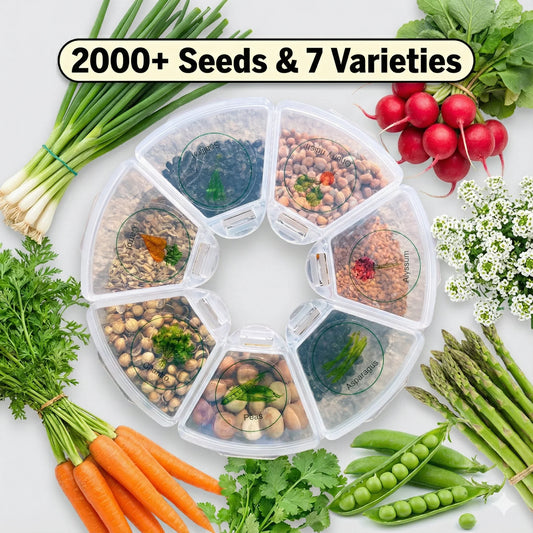 Miss Flowery seed kit with 7 labeled seed varieties, surrounded by fresh vegetables and flowers