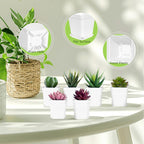 Miss Flowery 24Pcs 3" Square Plastic Plant Pots,White Nursery Pots with Saucers,Seedling Nursery Transplanting Planter Container for Plants,Garden,Flower,Home,Office,Balcony Decor,Indoor,Outdoor MissFlowery