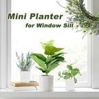 Miss Flowery 24Pcs 3" Square Plastic Plant Pots,White Nursery Pots with Saucers,Seedling Nursery Transplanting Planter Container for Plants,Garden,Flower,Home,Office,Balcony Decor,Indoor,Outdoor MissFlowery