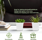 Miss Flowery 24Pcs 3" Square Plastic Plant Pots,White Nursery Pots with Saucers,Seedling Nursery Transplanting Planter Container for Plants,Garden,Flower,Home,Office,Balcony Decor,Indoor,Outdoor MissFlowery