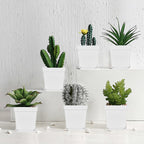 Miss Flowery 24Pcs 3" Square Plastic Plant Pots,White Nursery Pots with Saucers,Seedling Nursery Transplanting Planter Container for Plants,Garden,Flower,Home,Office,Balcony Decor,Indoor,Outdoor MissFlowery