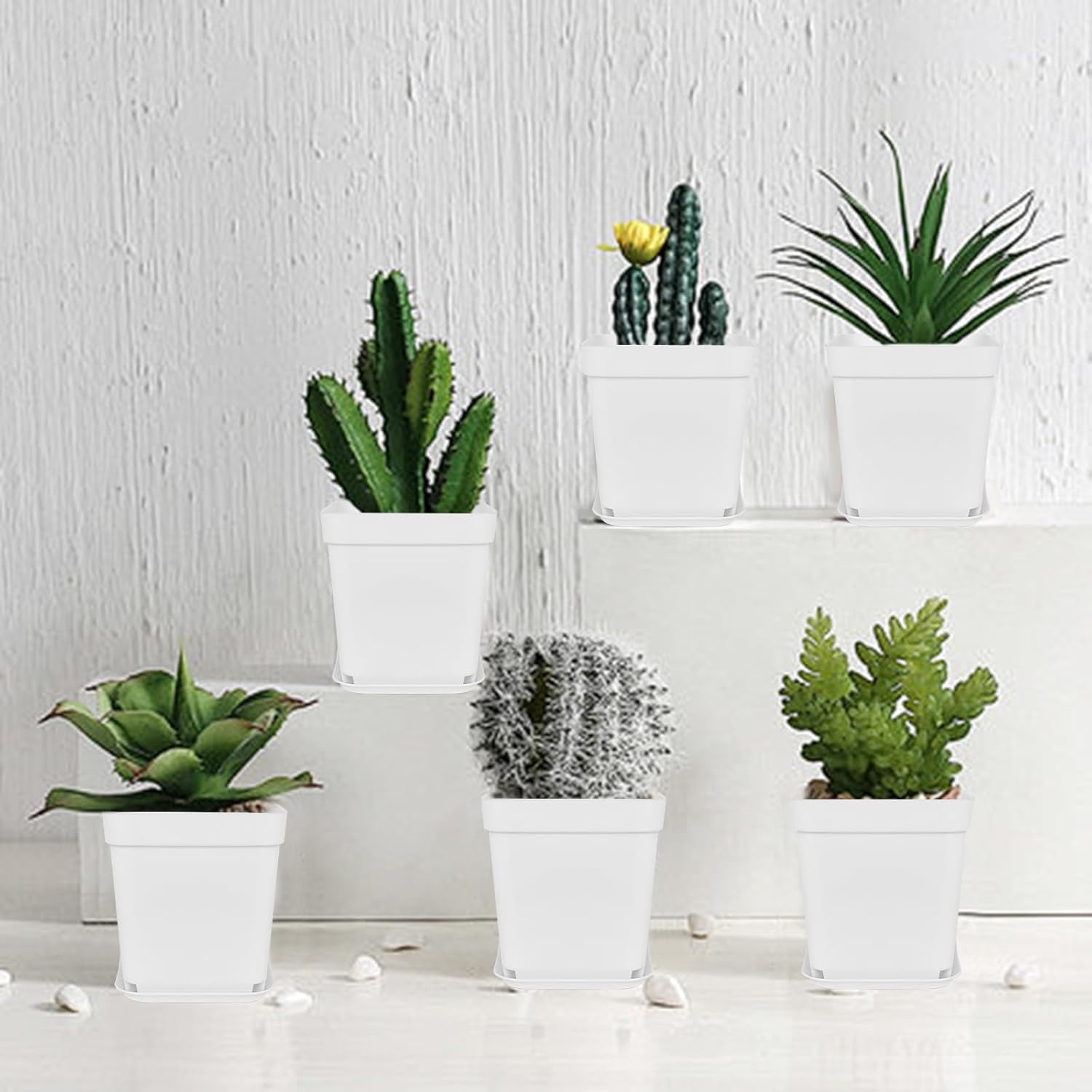 Miss Flowery 24Pcs 3" Square Plastic Plant Pots,White Nursery Pots with Saucers,Seedling Nursery Transplanting Planter Container for Plants,Garden,Flower,Home,Office,Balcony Decor,Indoor,Outdoor MissFlowery
