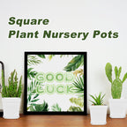 Miss Flowery 24Pcs 3" Square Plastic Plant Pots,White Nursery Pots with Saucers,Seedling Nursery Transplanting Planter Container for Plants,Garden,Flower,Home,Office,Balcony Decor,Indoor,Outdoor MissFlowery