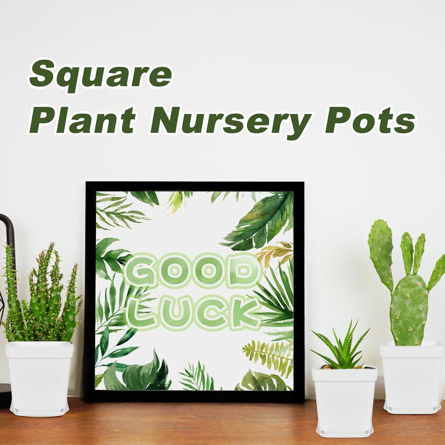 Miss Flowery 24Pcs 3" Square Plastic Plant Pots,White Nursery Pots with Saucers,Seedling Nursery Transplanting Planter Container for Plants,Garden,Flower,Home,Office,Balcony Decor,Indoor,Outdoor MissFlowery