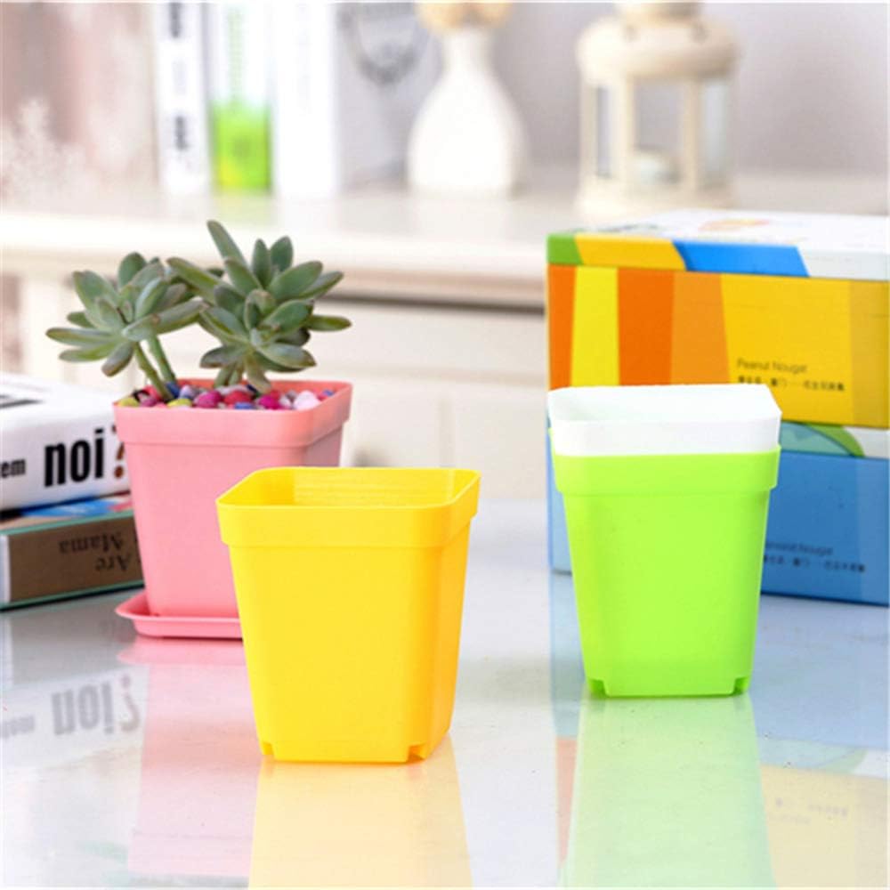 24 Pack 3inch Multi Color Square Plastic Plant Pots,Seedling Nursery Transplanting Planter Container Indoor Outdoor for Your Room,Garden Office and Balcony Decor MissFlowery