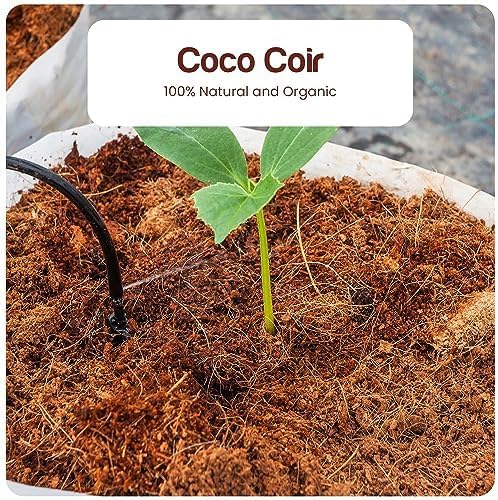 Premium Coconut Coir Bricks | 5 Bricks / 650 Grams Each / 1.5 Pounds Each | Low EC Triple-Washed | OMRI Listed | Perfect As Hydroponics Garden Soil | 100% Organic and Eco-Friendly | Great Seed Bed MissFlowery
