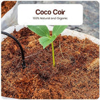 Premium Coconut Coir Bricks | 5 Bricks / 650 Grams Each / 1.5 Pounds Each | Low EC Triple-Washed | OMRI Listed | Perfect As Hydroponics Garden Soil | 100% Organic and Eco-Friendly | Great Seed Bed MissFlowery
