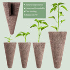 125 Piece Hydroponic Pods Kit: Grow Anything with 50 Grow Sponges, 12 Baskets, 12 Domes, 50 Labels, 1 Tweezer - Compatible with All Hydroponics Brands MissFlowery