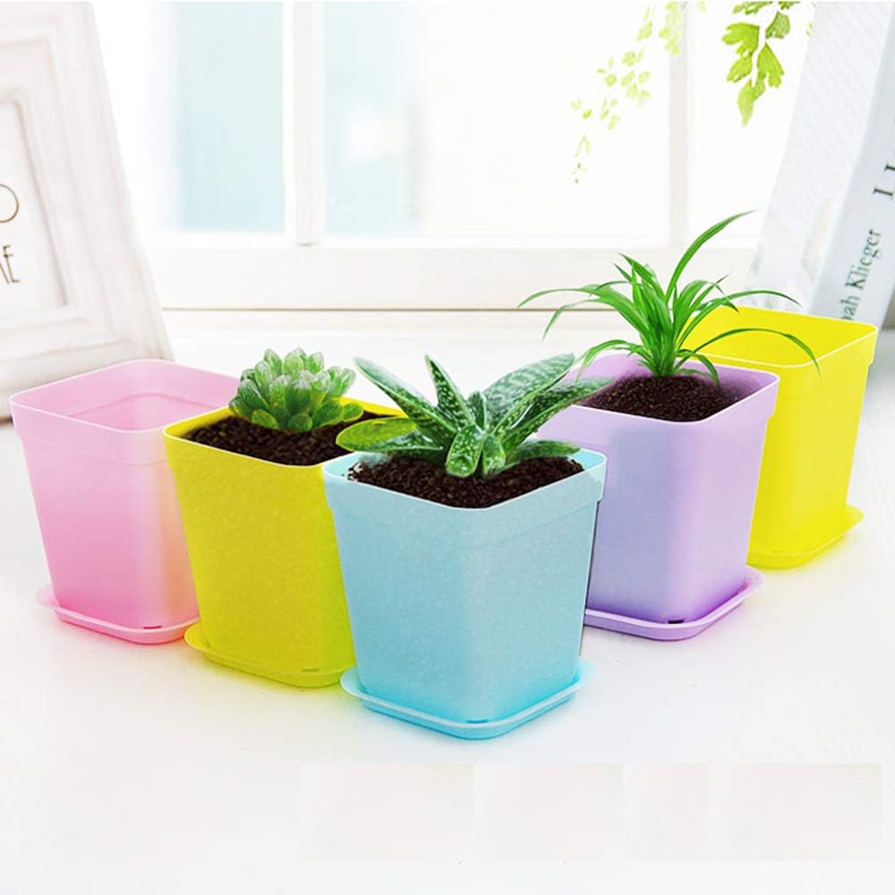 24 Pack 3inch Multi Color Square Plastic Plant Pots,Seedling Nursery Transplanting Planter Container Indoor Outdoor for Your Room,Garden Office and Balcony Decor MissFlowery