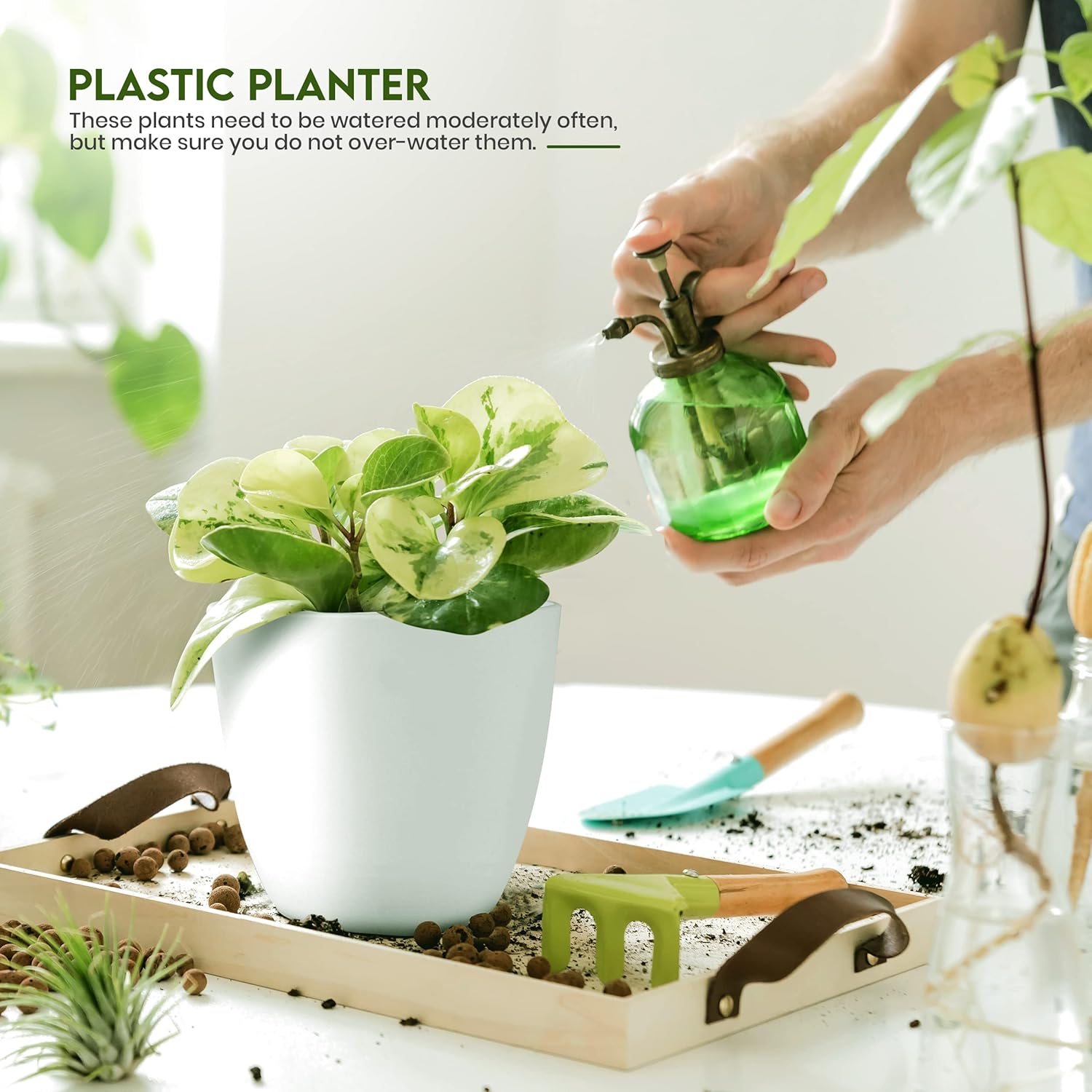 Miss Flowery- Plant Pots Indoor with Drainage - 7/6.6/6/5.3/4.8 Inches Garden Flower Pots for Indoor Planter - 5 Pack White Plastic Planters - Ideal for Stocking Stuffers or Room, Office Home Decor MissFlowery