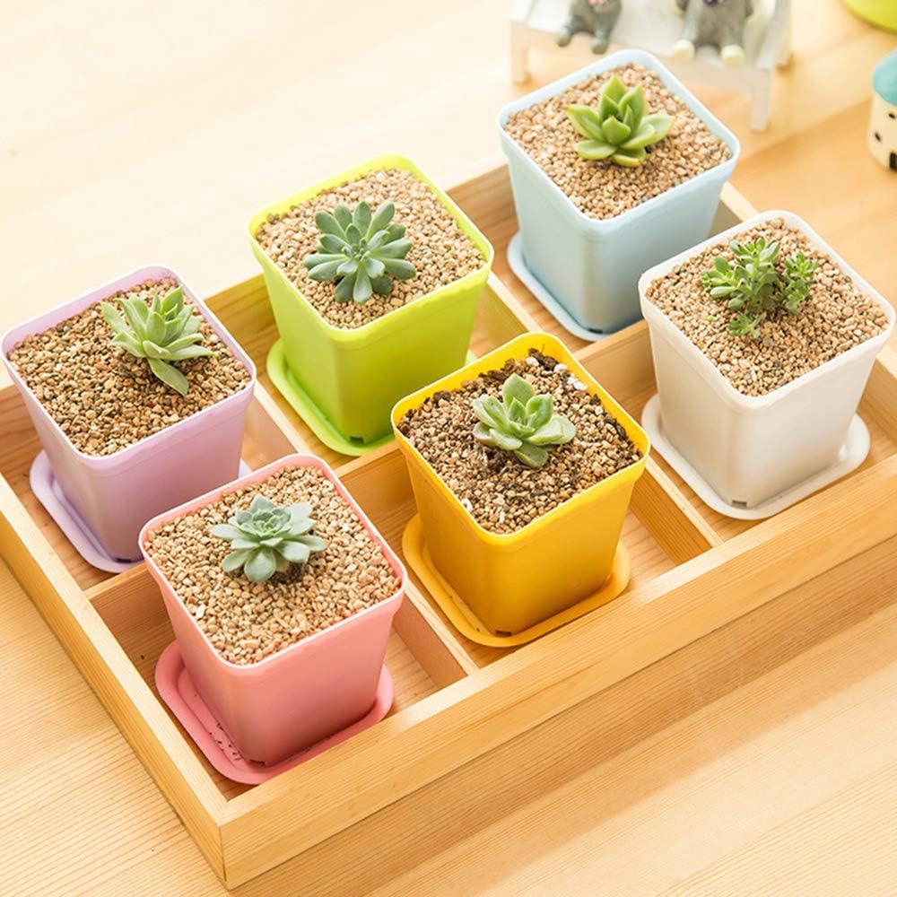 24 Pack 3inch Multi Color Square Plastic Plant Pots,Seedling Nursery Transplanting Planter Container Indoor Outdoor for Your Room,Garden Office and Balcony Decor MissFlowery