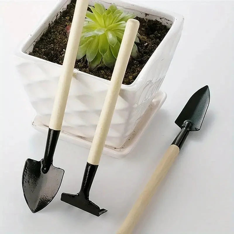 Mini Garden Tool Set - Succulent Transplant Tool, a Gardening Manual Tool for Mini Garden And Bonsai Plant Care MissFlowery