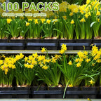 100pcs 1 Gallon Garden Pots, 6.5 Inch Plant Plastic Pots, Plastic Flower Pots, Plastic Plant Pots, Potted Garden Pots, Seeds, Succulents, Planting Pots with Plant Labels MissFlowery