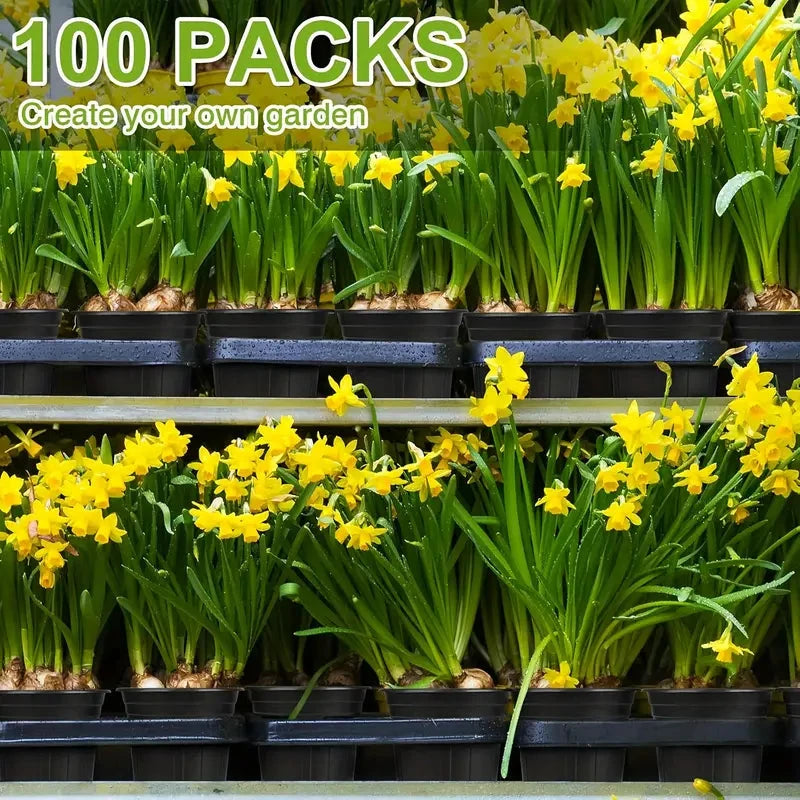 100pcs 1 Gallon Garden Pots, 6.5 Inch Plant Plastic Pots, Plastic Flower Pots, Plastic Plant Pots, Potted Garden Pots, Seeds, Succulents, Planting Pots with Plant Labels MissFlowery