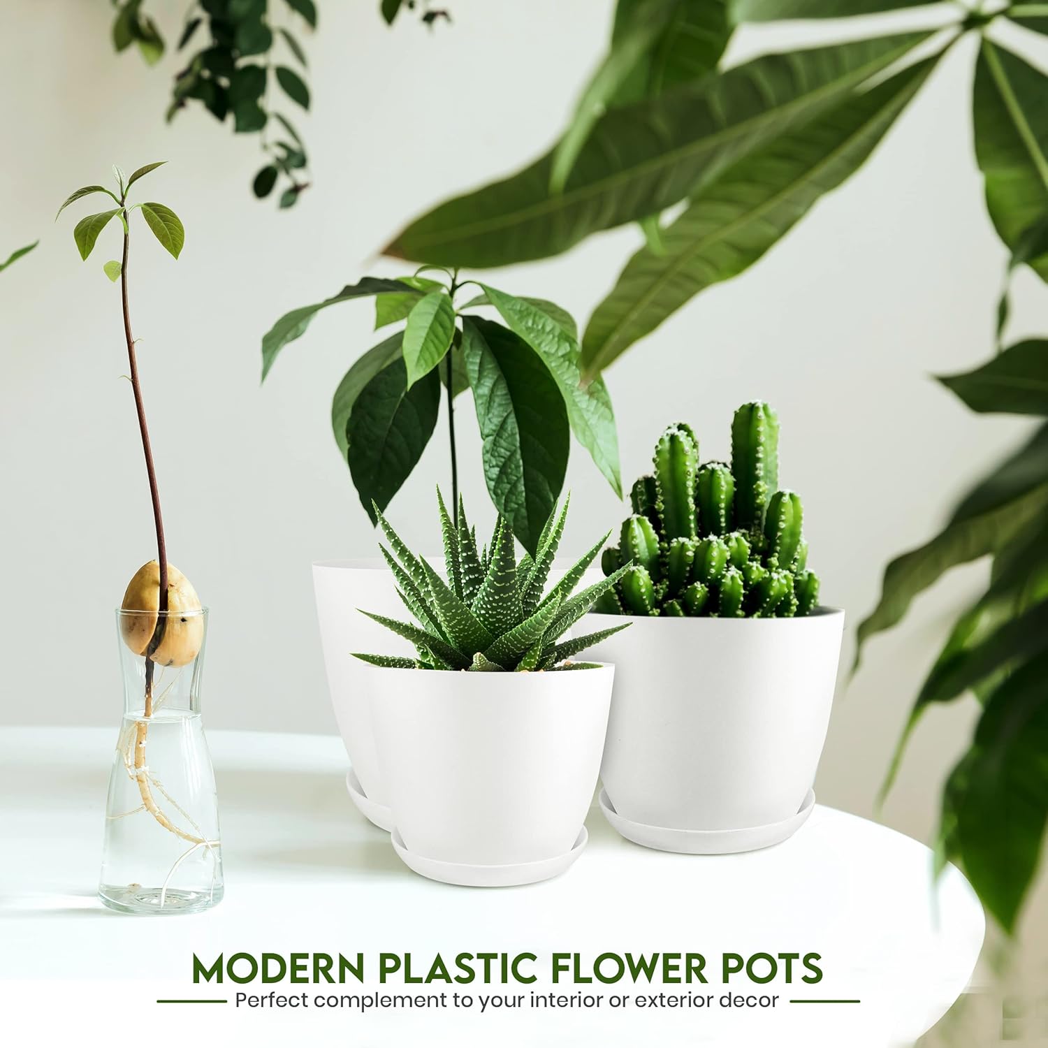 Miss Flowery- Plant Pots Indoor with Drainage - 7/6.6/6/5.3/4.8 Inches Garden Flower Pots for Indoor Planter - 5 Pack White Plastic Planters - Ideal for Stocking Stuffers or Room, Office Home Decor MissFlowery
