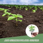 50 Piece Hydroponic Pods Kit: Grow Anything with 50 Grow Sponges - Compatible with All Hydroponics Brands MissFlowery
