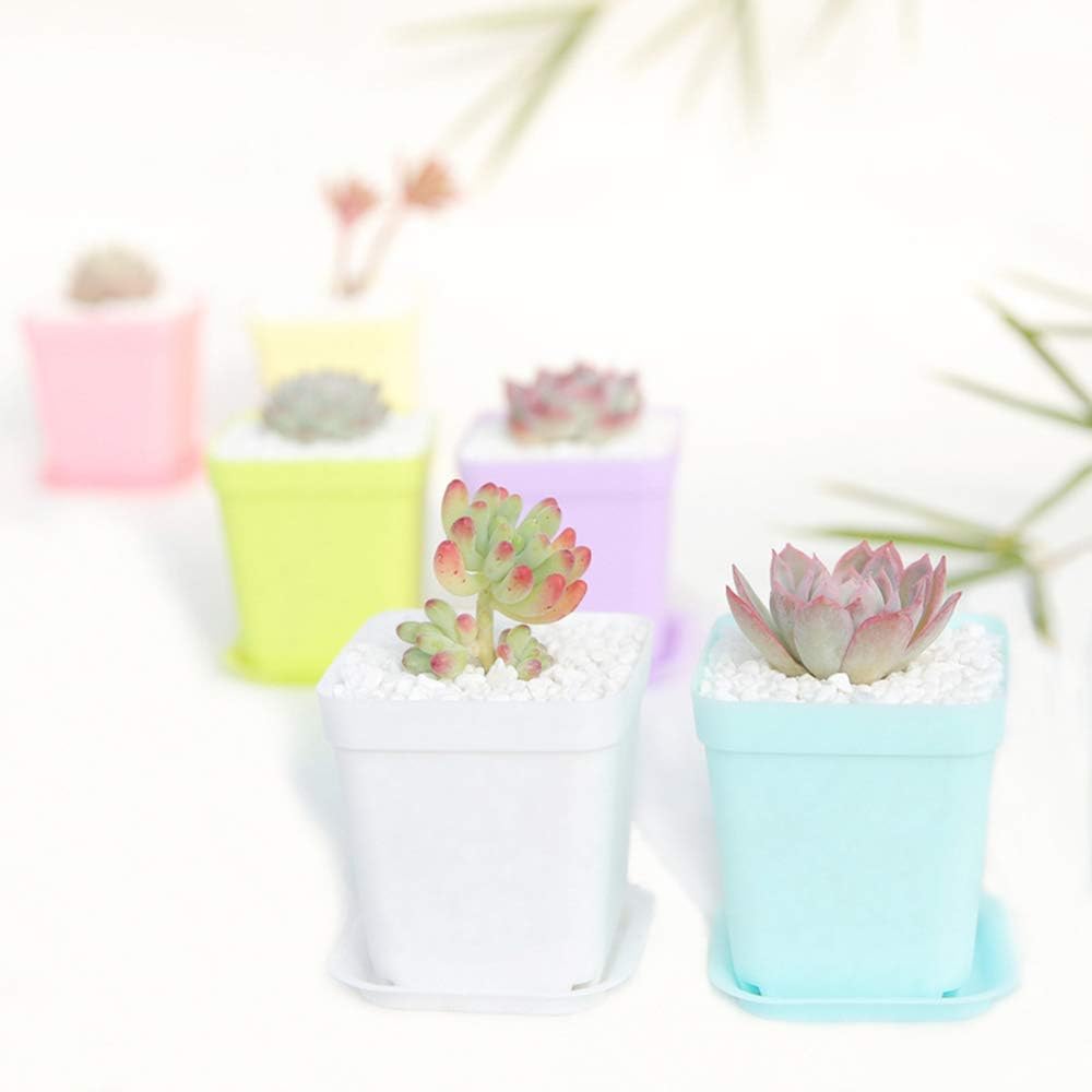 24 Pack 3inch Multi Color Square Plastic Plant Pots,Seedling Nursery Transplanting Planter Container Indoor Outdoor for Your Room,Garden Office and Balcony Decor MissFlowery