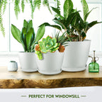 Miss Flowery- Plant Pots Indoor with Drainage - 7/6.6/6/5.3/4.8 Inches Garden Flower Pots for Indoor Planter - 5 Pack White Plastic Planters - Ideal for Stocking Stuffers or Room, Office Home Decor MissFlowery