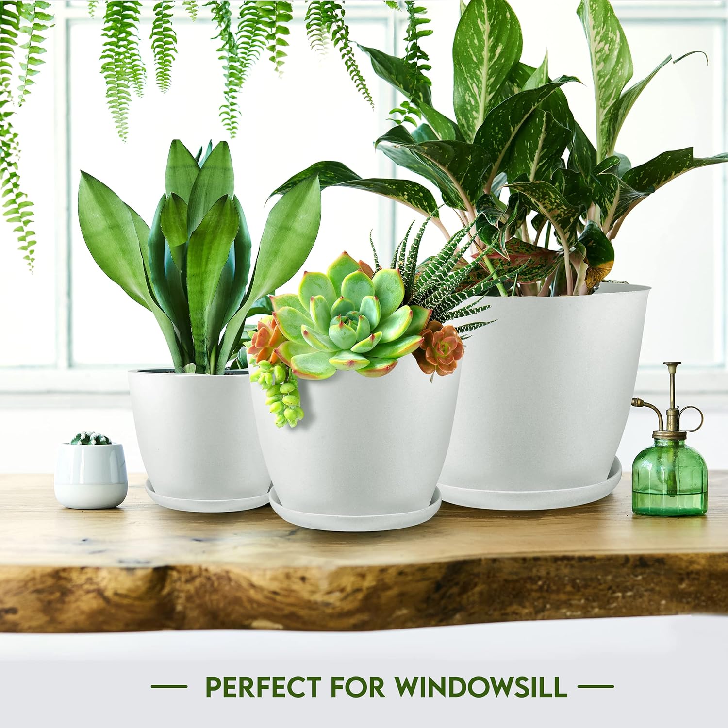 Miss Flowery- Plant Pots Indoor with Drainage - 7/6.6/6/5.3/4.8 Inches Garden Flower Pots for Indoor Planter - 5 Pack White Plastic Planters - Ideal for Stocking Stuffers or Room, Office Home Decor MissFlowery