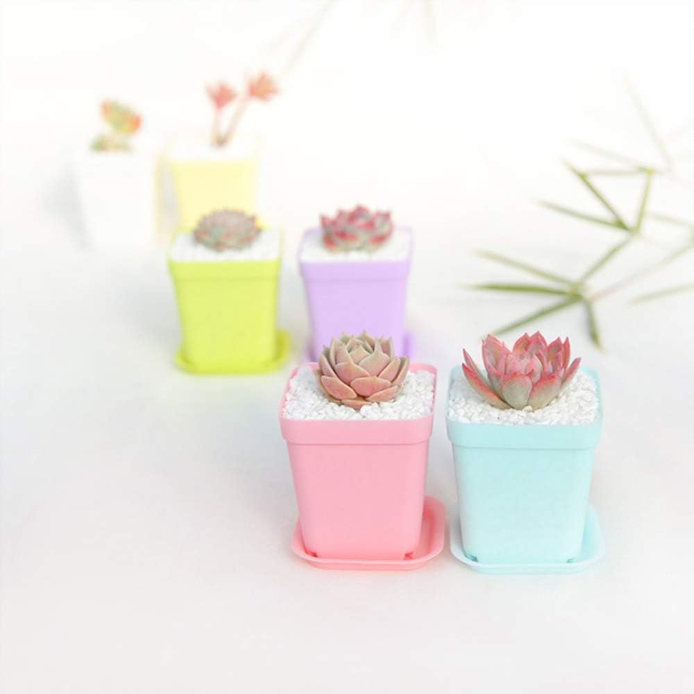 24 Pack 3inch Multi Color Square Plastic Plant Pots,Seedling Nursery Transplanting Planter Container Indoor Outdoor for Your Room,Garden Office and Balcony Decor MissFlowery