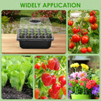 Seed Starter Tray with Grow Light, Seedling Starter Trays Kits Includes 20 Plant Sponges, Domes and Clear Cell Tray, 20 Cells Plant Trays for Plants Indoor & Greenhouse & Gardens MissFlowery