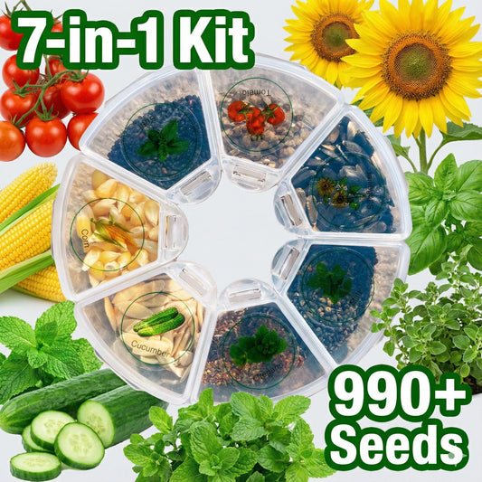 Miss Flowery 7-in-1 beginner-friendly seed kit with 990+ seeds, tomatoes, sunflowers, herbs, corn, cucumber.