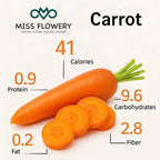 𝗨𝗦𝗔 𝗣𝗥𝗘𝗠𝗜𝗨𝗠 Tendersweet Carrots Pack  - 3000 𝗡𝗢𝗡-𝗚𝗠𝗢 Heirloom Seeds for Planting Outdoors - High-Germination Vegetable for a Lush Garden MissFlowery
