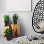 100pcs 1 Gallon Garden Pots, 6.5 Inch Plant Plastic Pots, Plastic Flower Pots, Plastic Plant Pots, Potted Garden Pots, Seeds, Succulents, Planting Pots with Plant Labels MissFlowery