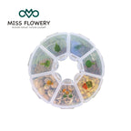 MissFlowery Grow & Giggle Autumn Planting Gift Box – 7 Easy-to-Grow Seeds for Beginners |fall garden gift autumn planting seeds winter vegetables cold weather crops Vegetables & Flowers MissFlowery