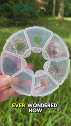 Winter Seed Starting Kit - 7 Easy Vegetable Herb Flower Seeds for Beginners | Indoor Outdoor  Garden Gift Box