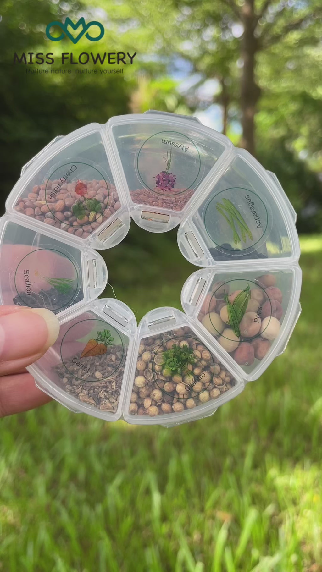 Spring Planting Gift Box – 7 Easy-to-Grow Seeds for Beginners | Vegetables, Herbs & Flowers spring garden gift early vegetable seeds