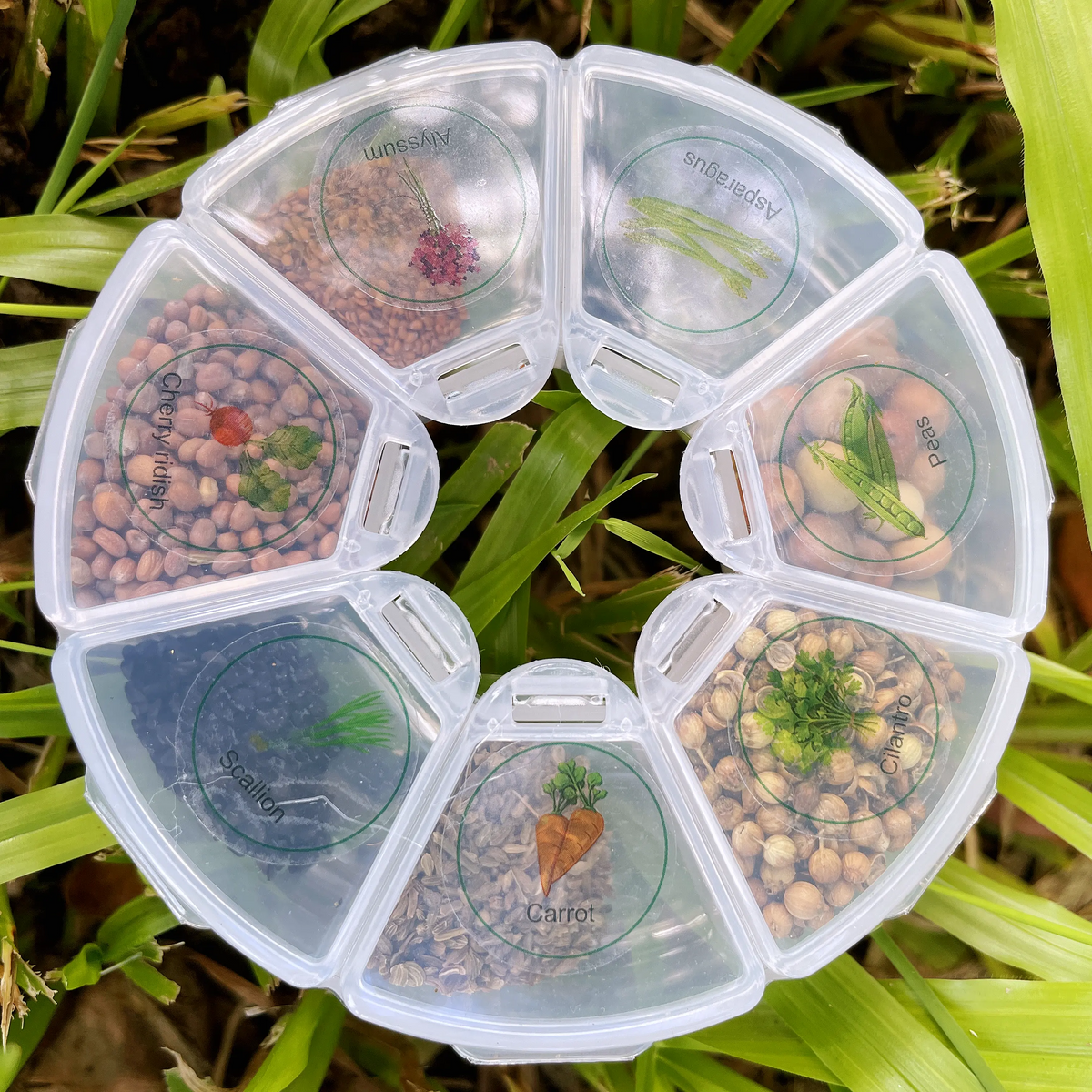 MissFlowery Grow & Giggle Spring Planting Gift Box – 7 Easy-to-Grow Seeds for Beginners | Vegetables, Herbs & Flowers spring garden gift early vegetable seeds MissFlowery